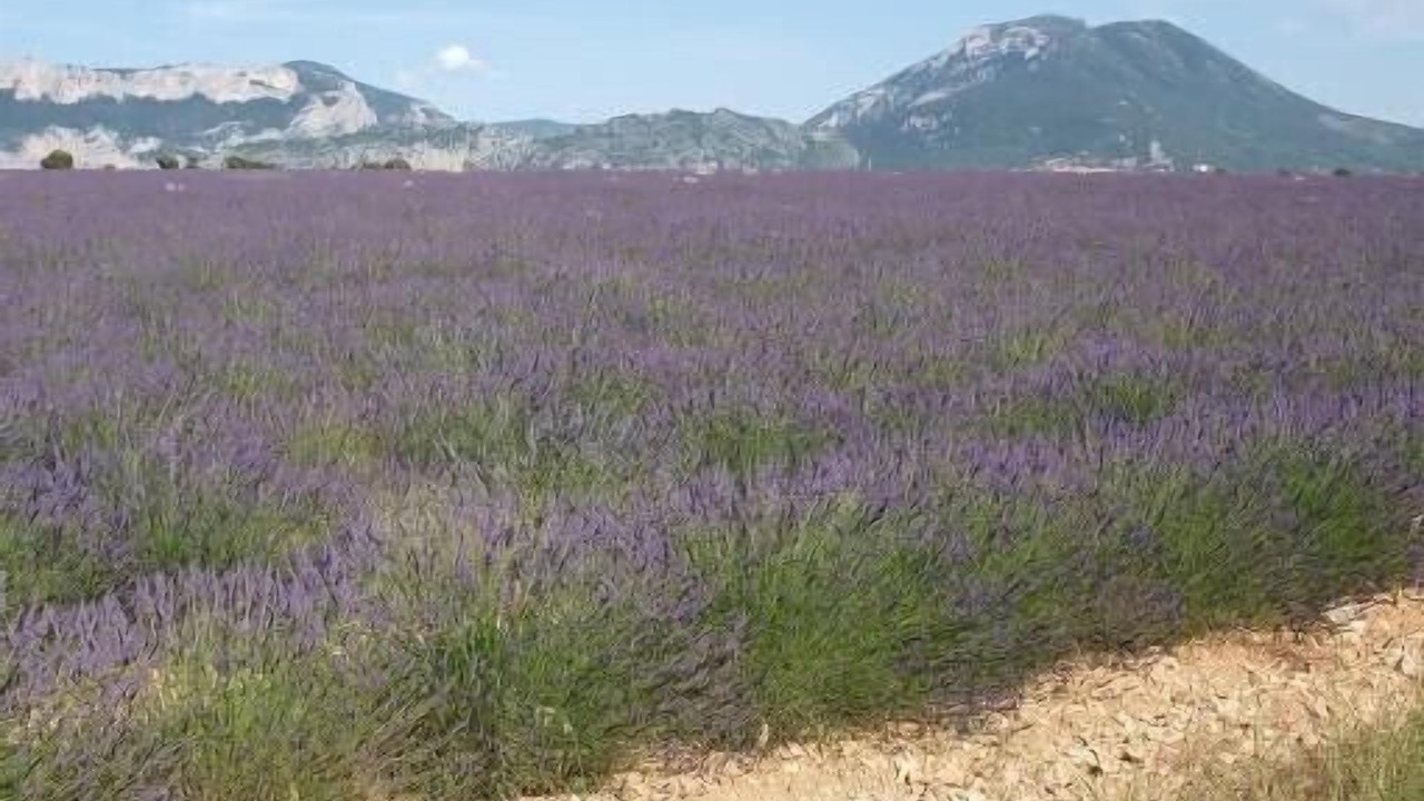 Photo of Outdoor in Moustiers-Sainte-Marie