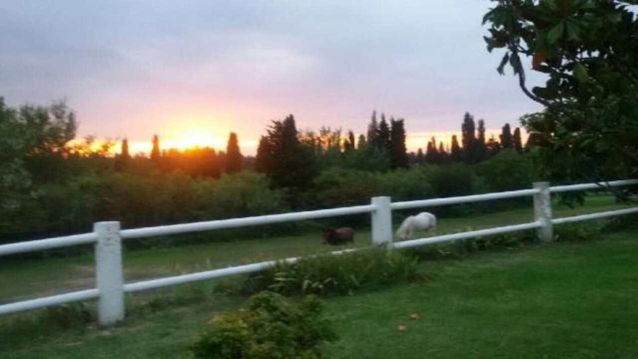 Photo of Outdoor in Orgon