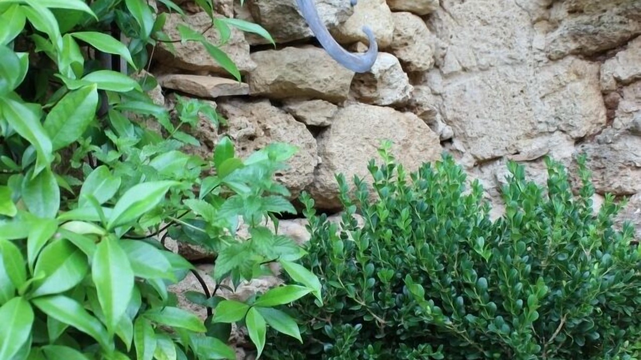 Photo of Outdoor in Vers-Pont-du-Gard