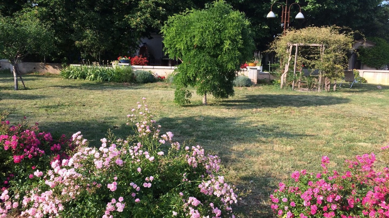 Photo of Outdoor in Le Luc