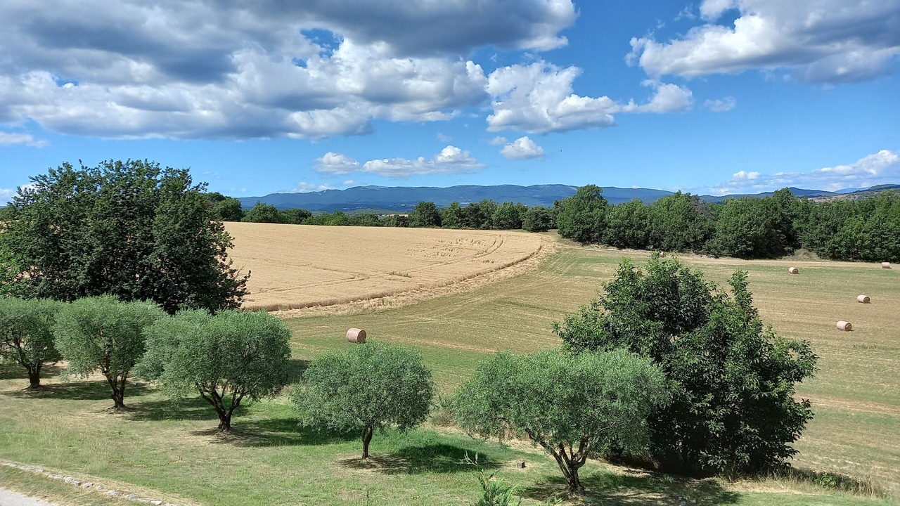 Photo of Outdoor in Niozelles