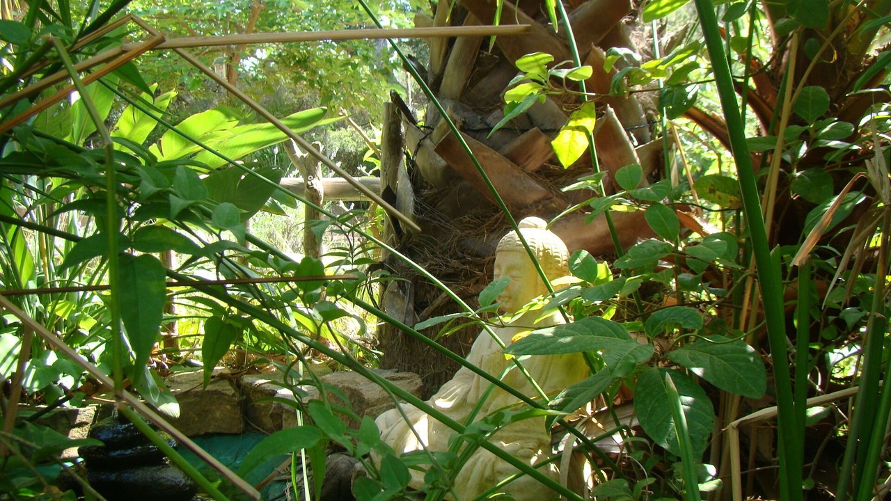 Photo of Outdoor in Cavaliere