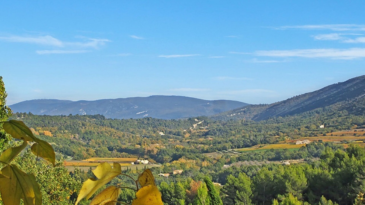 Photo of Others in Menerbes