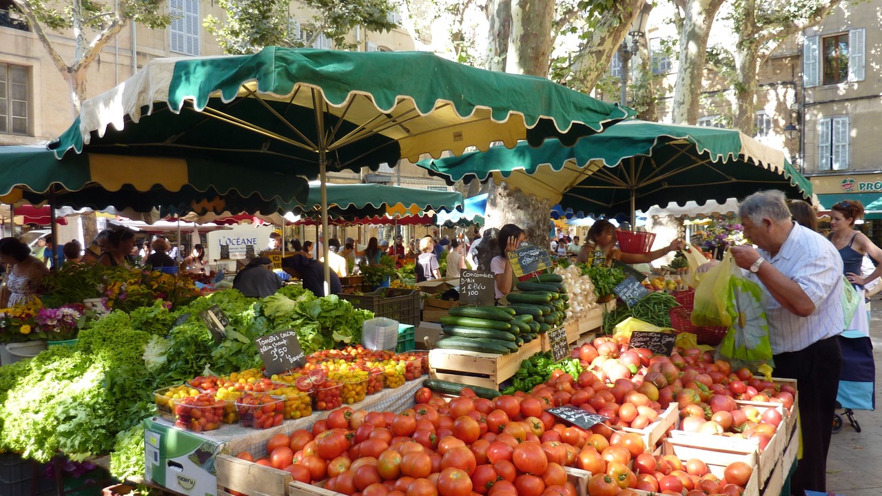 Photo of Others in Menerbes
