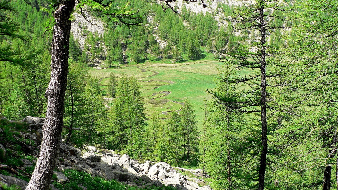 Photo of Outdoor in Beauvezer