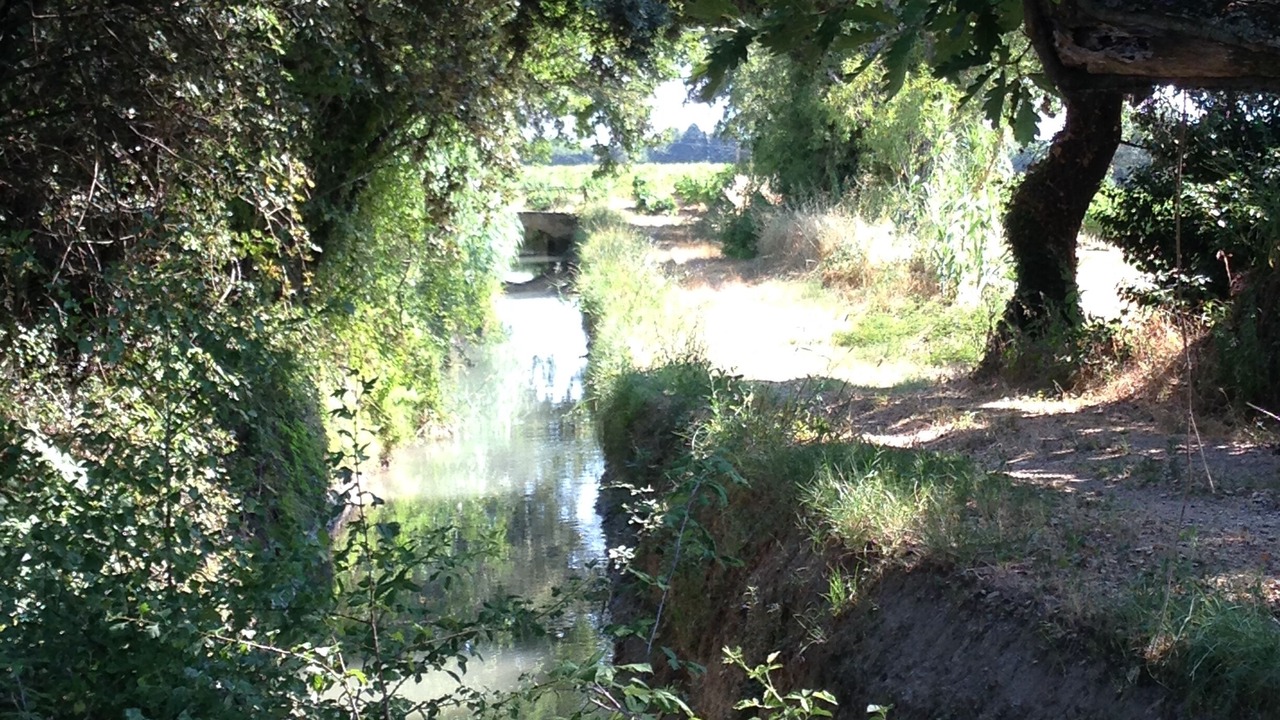 Photo of Outdoor in Sarrians
