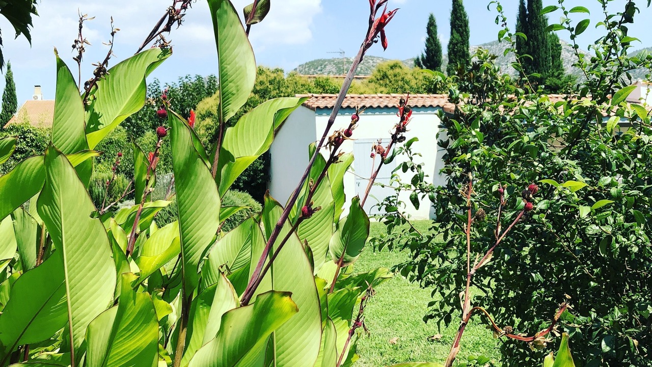 Photo of Outdoor in Gemenos
