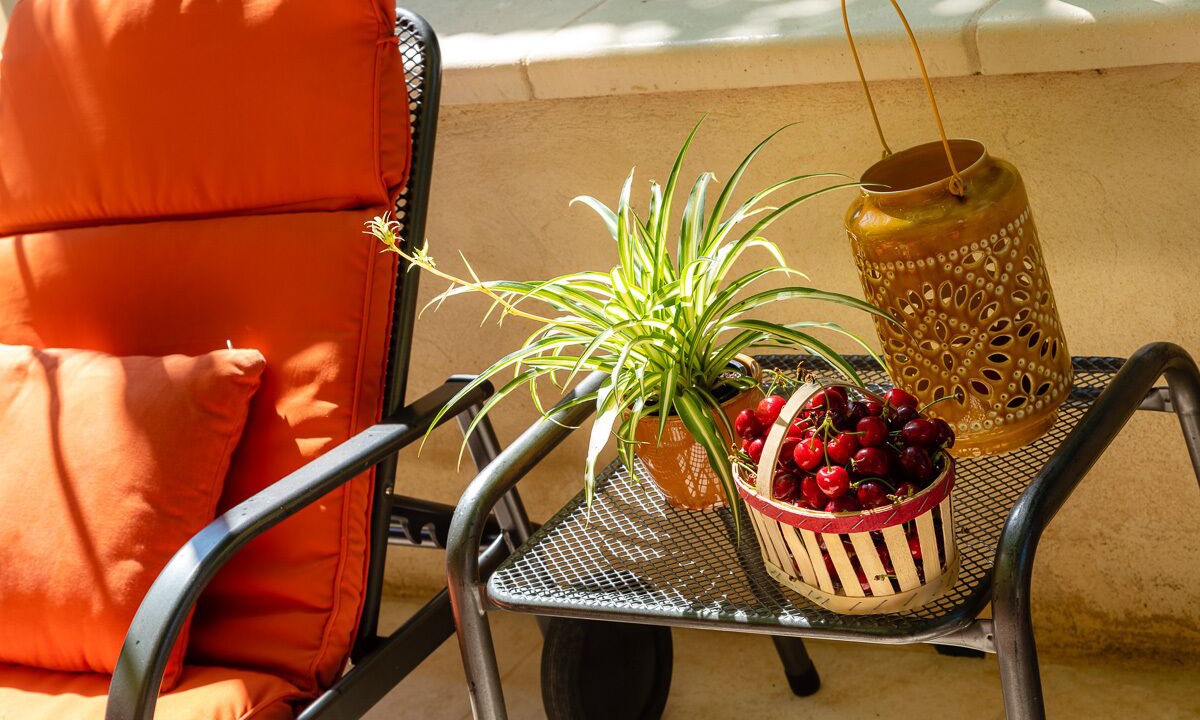 Photo of Outdoor in Crillon-le-Brave