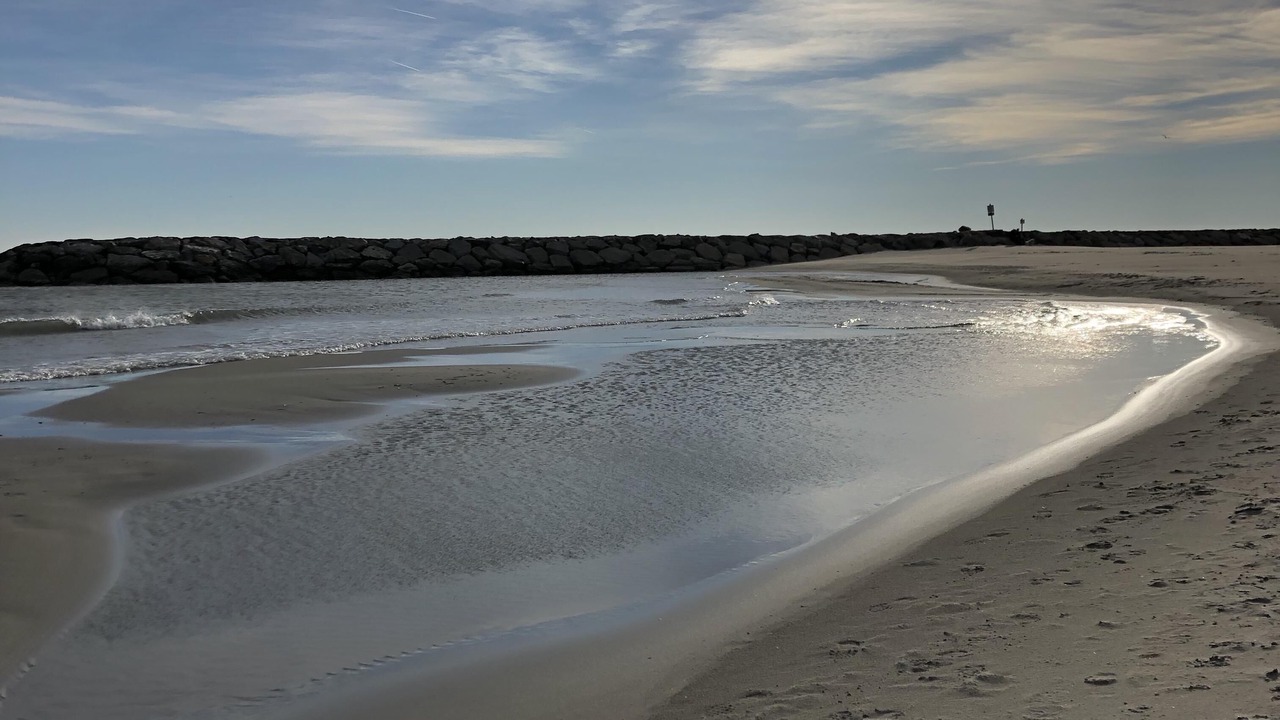 Photo of Others in Saintes-Maries-de-la-Mer