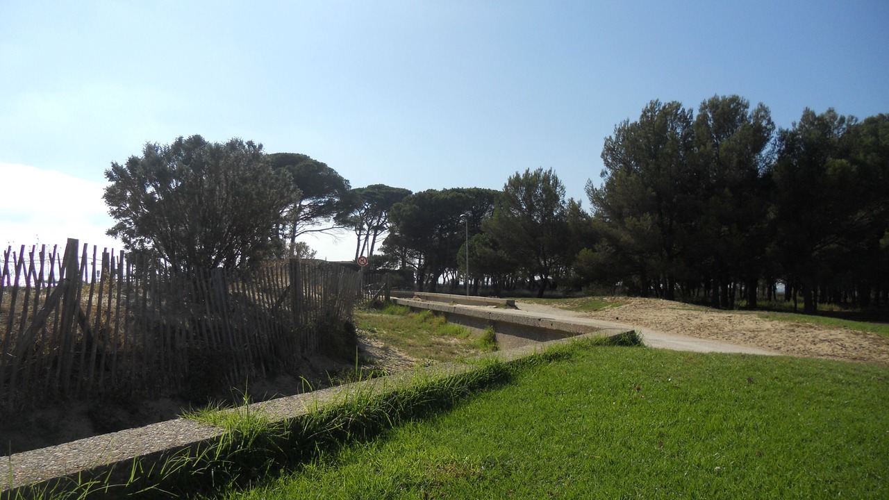 Photo of Outdoor in Miramar