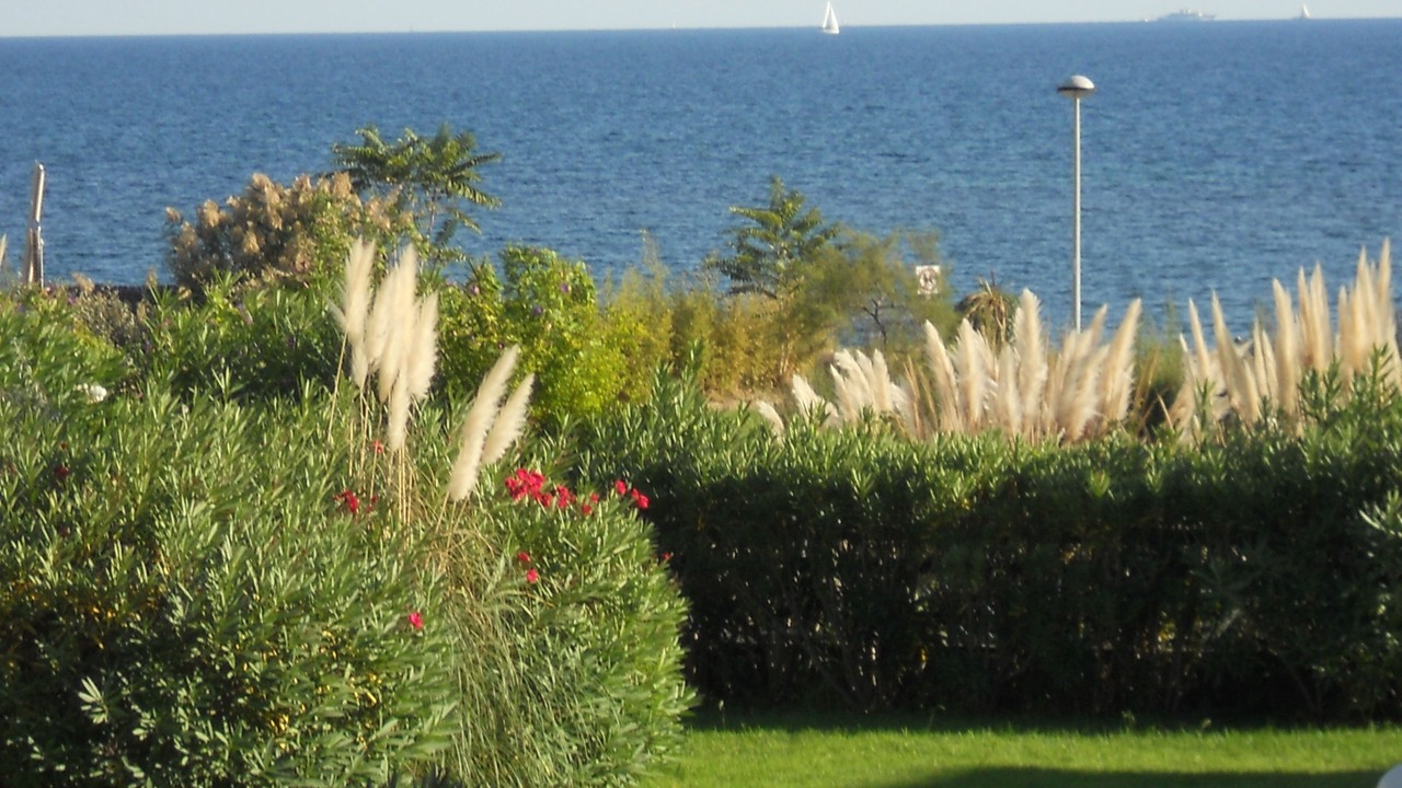 Photo of Outdoor in Miramar