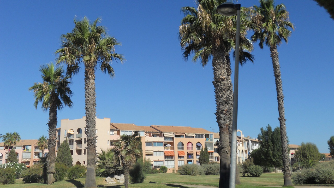 Photo of Outdoor in Miramar