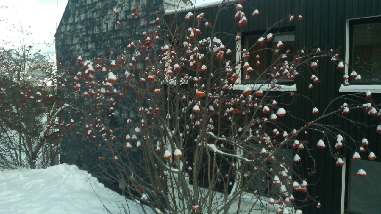 Photo of Outdoor in Pra Loup