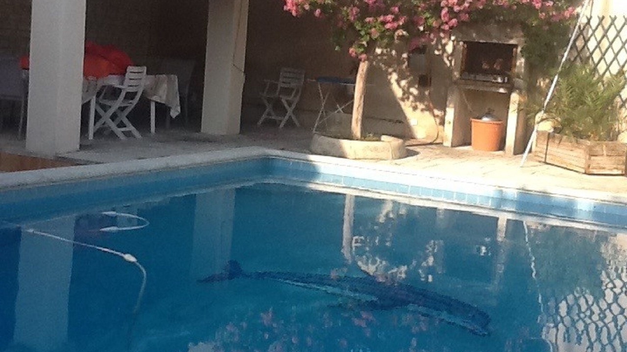 Photo of Outdoor in Chateaurenard