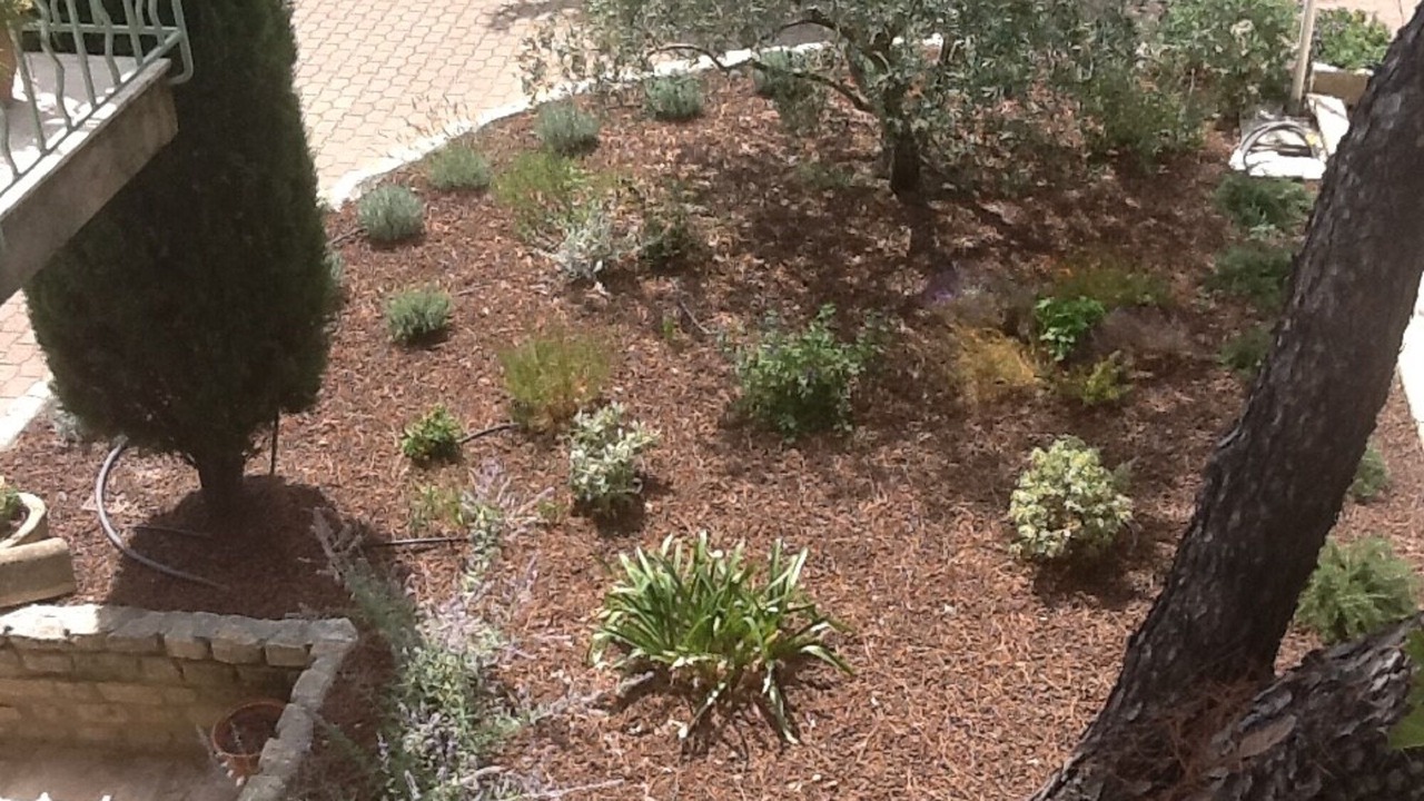 Photo of Outdoor in Chateaurenard