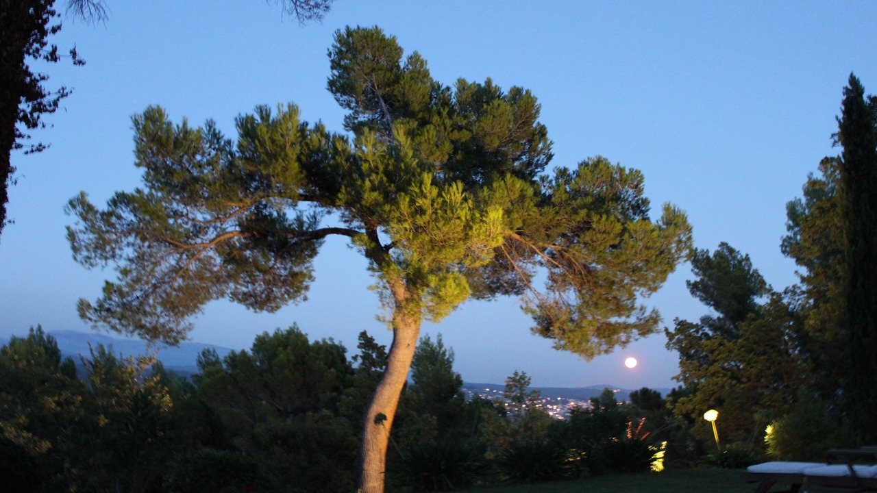 Photo of Others in Seillans