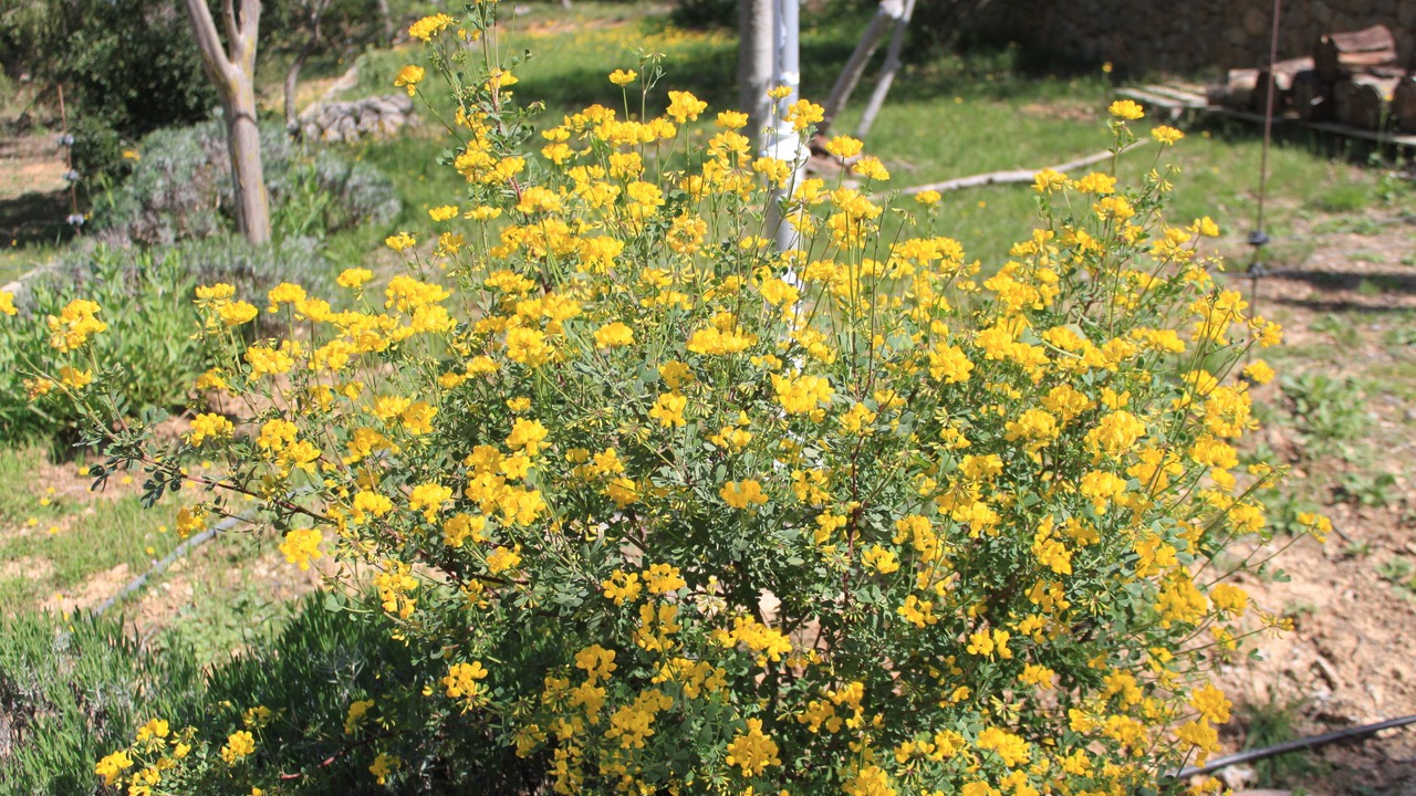 Photo of Outdoor in Entrecasteaux