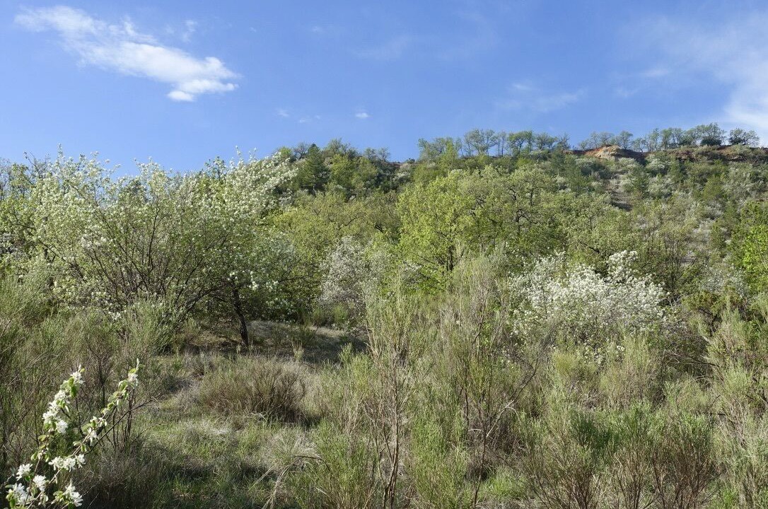 Photo of Outdoor in Digne-les-Bains