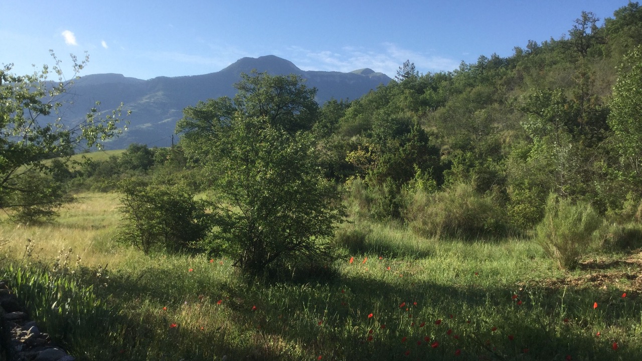 Photo of Outdoor in Digne-les-Bains