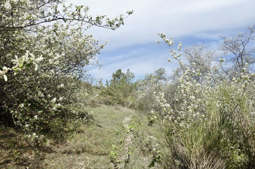 Photo of Outdoor in Digne-les-Bains