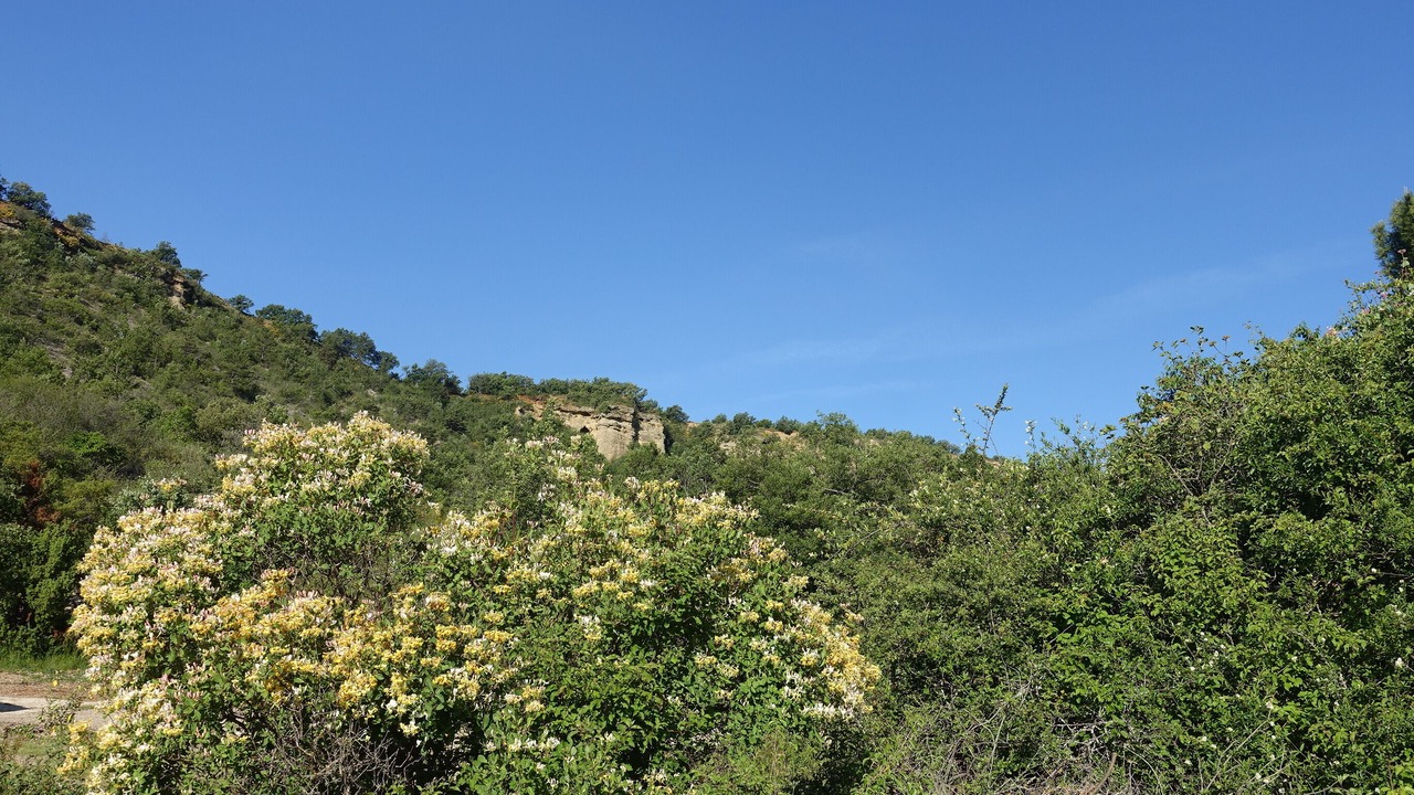 Photo of Others in Digne-les-Bains
