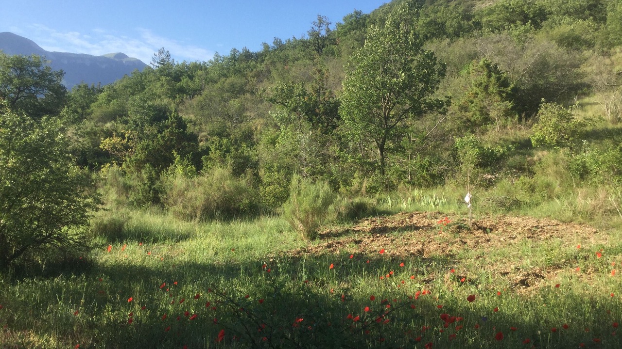 Photo of Outdoor in Digne-les-Bains