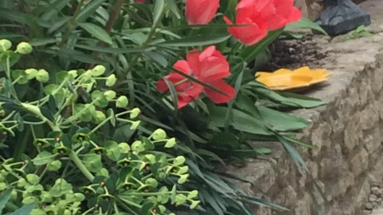 Photo of Outdoor in Saint-Saturnin-les-Apt