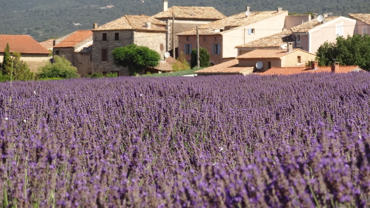 Photo of Outdoor in Saint-Saturnin-les-Apt