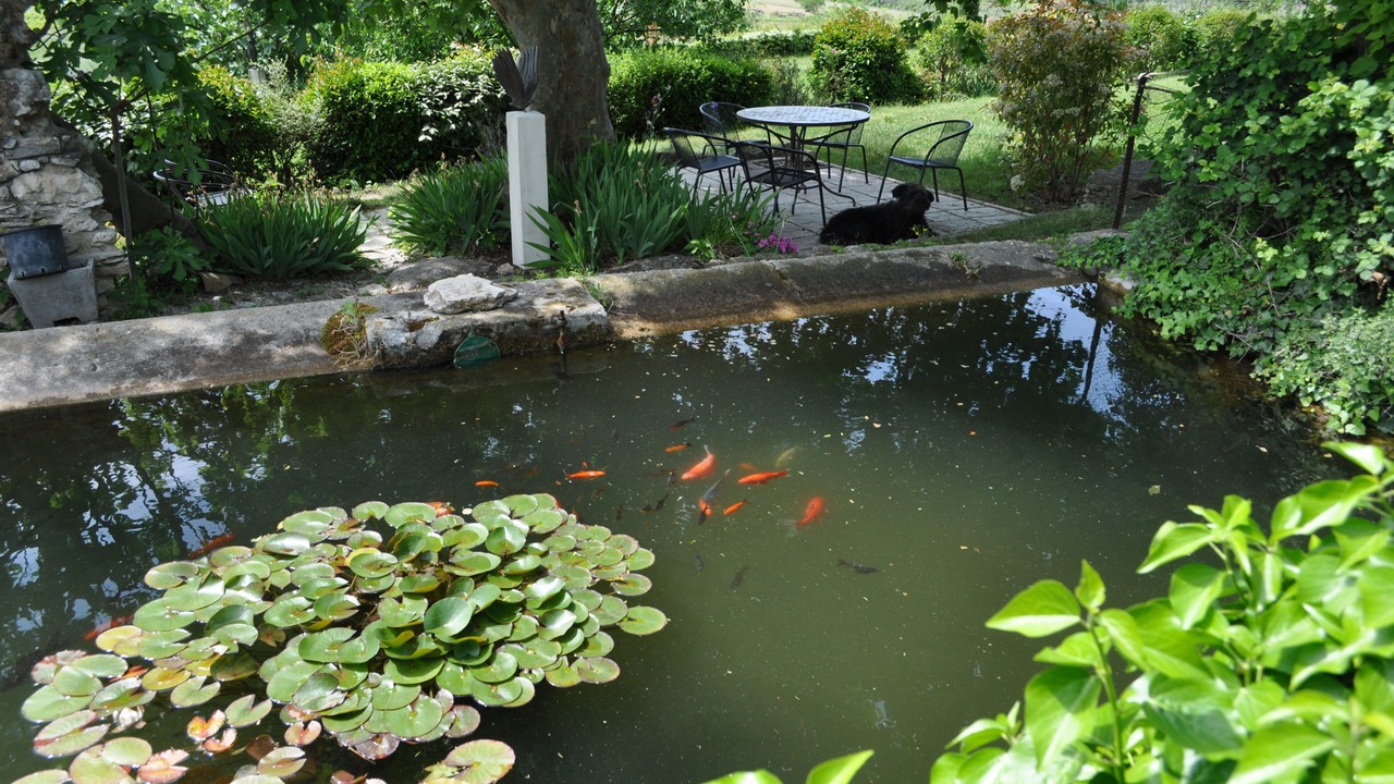 Photo of Outdoor in Saint-Saturnin-les-Apt