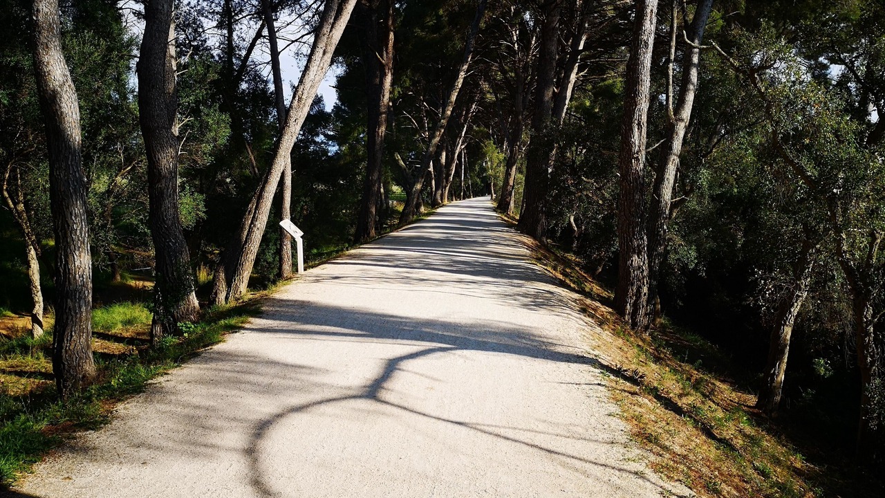 Photo of Others in La Londe-les-Maures