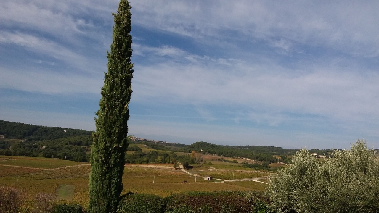 Photo of Outdoor in Mollans-sur-Ouveze