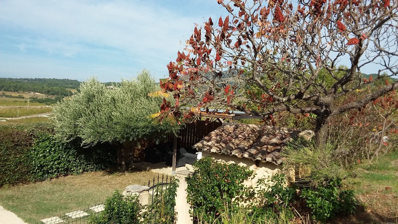 Photo of Outdoor in Mollans-sur-Ouveze