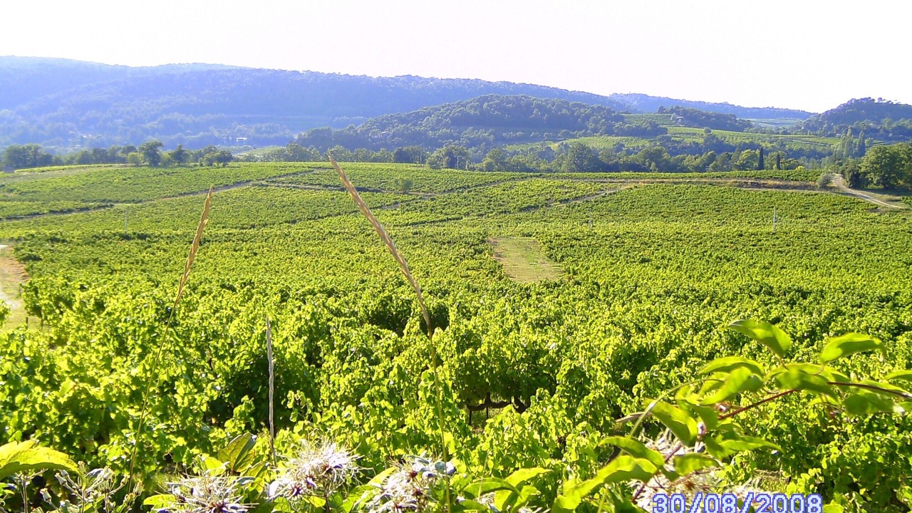 Photo of Outdoor in Mollans-sur-Ouveze