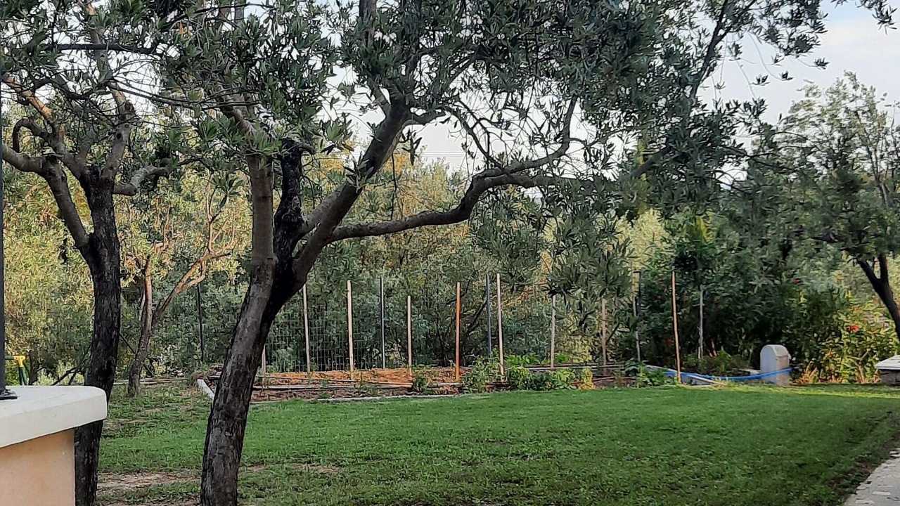 Photo of Outdoor in Callas