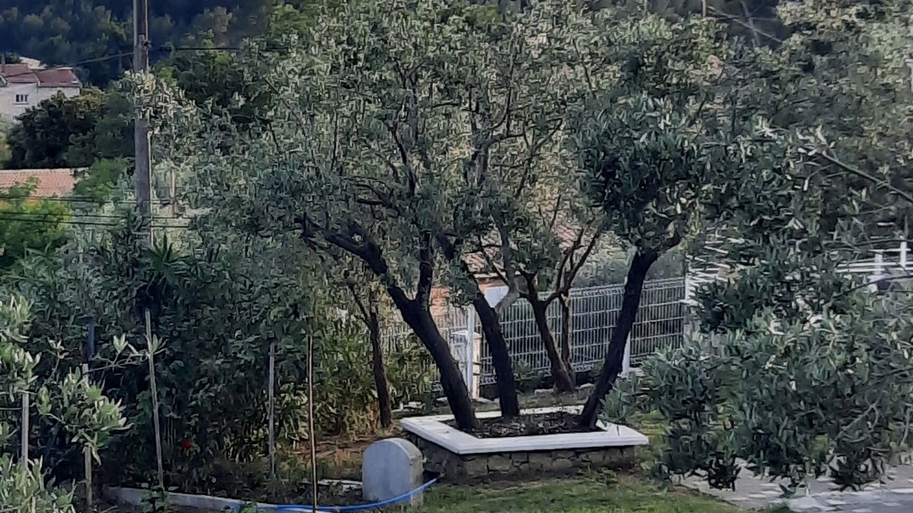 Photo of Outdoor in Callas