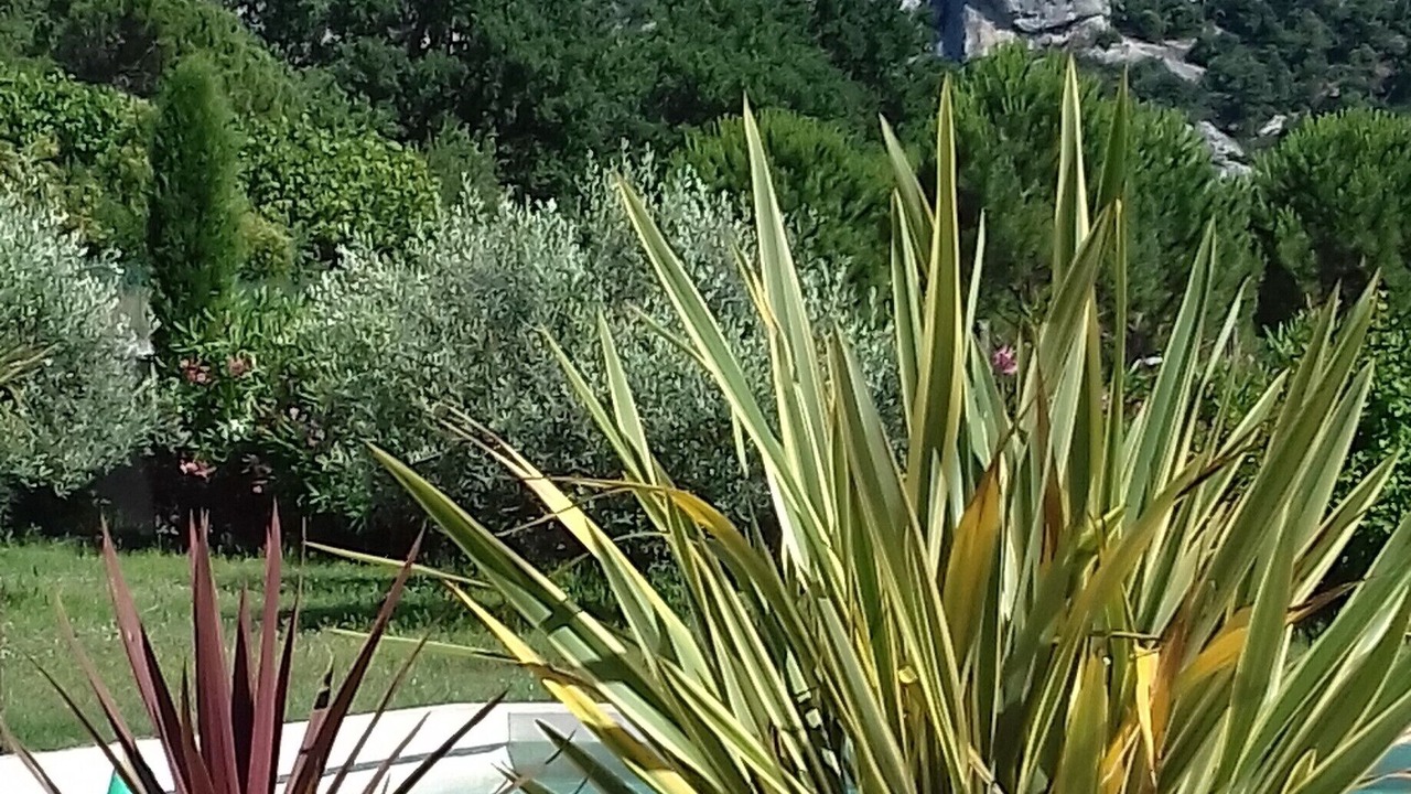 Photo of Outdoor in Robion