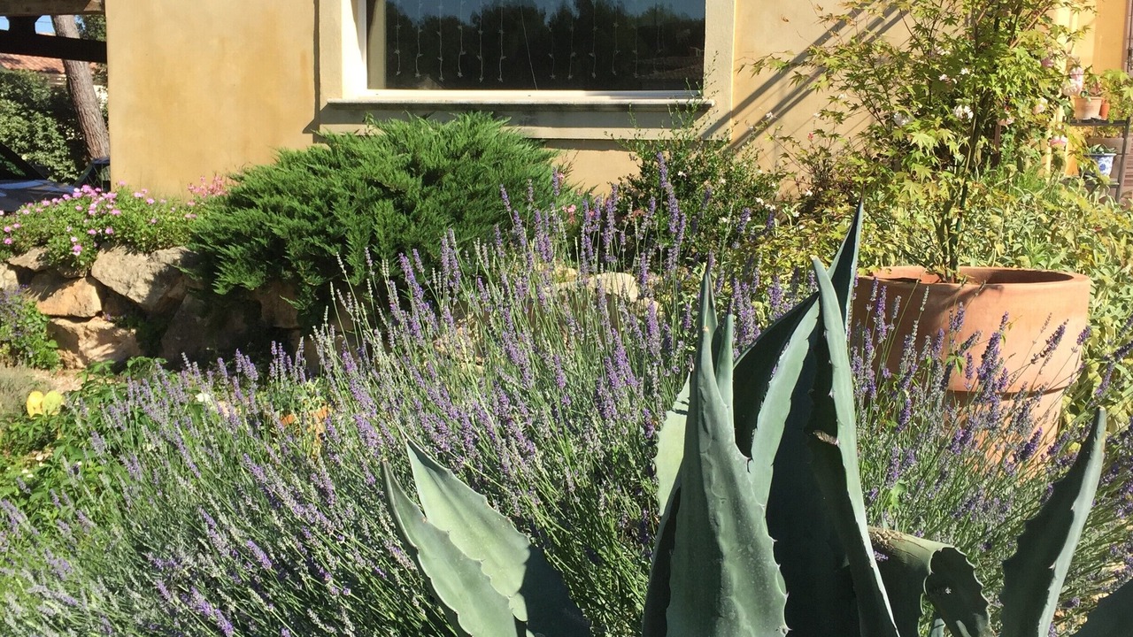 Photo of Outdoor in Pelissanne