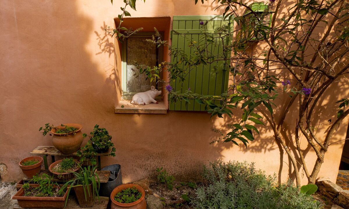 Photo of Outdoor in Gargas