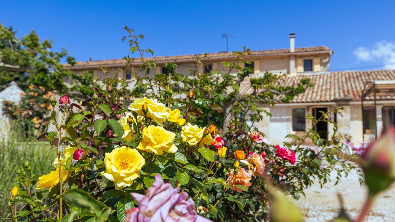 Photo of Outdoor in Gargas