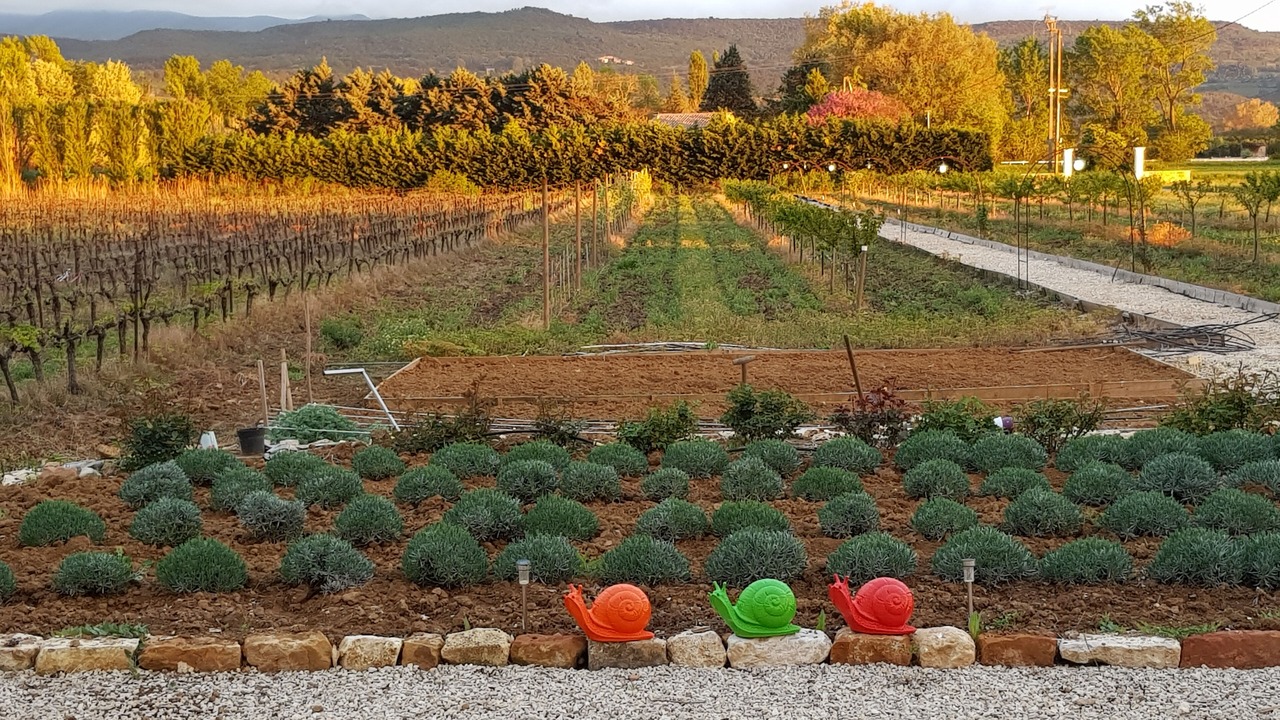 Photo of Outdoor in Gargas
