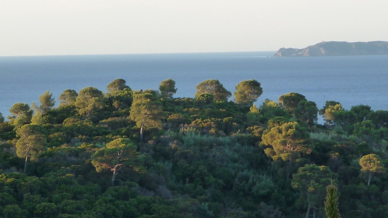 Photo of Others in Le Rayol
