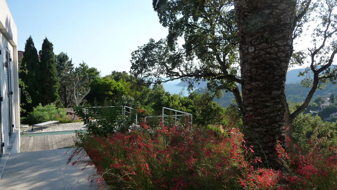 Photo of Others in Le Rayol