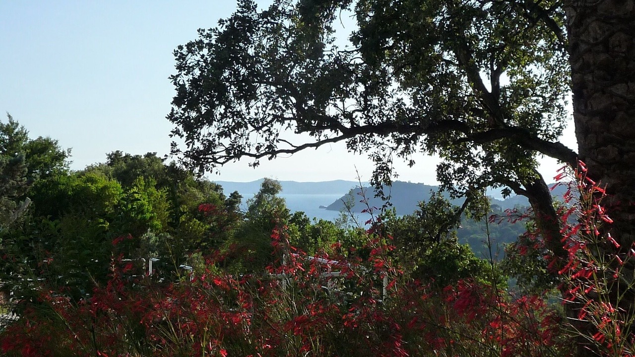 Photo of Others in Le Rayol