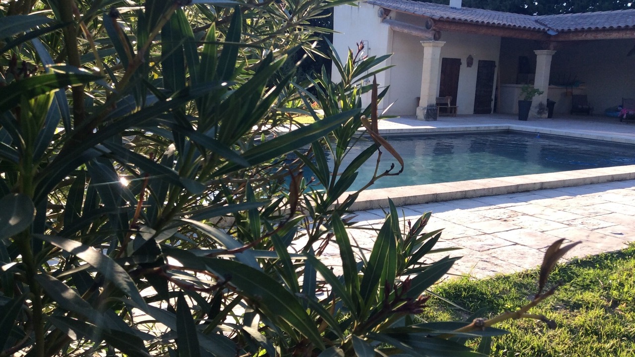 Photo of Outdoor in Orange