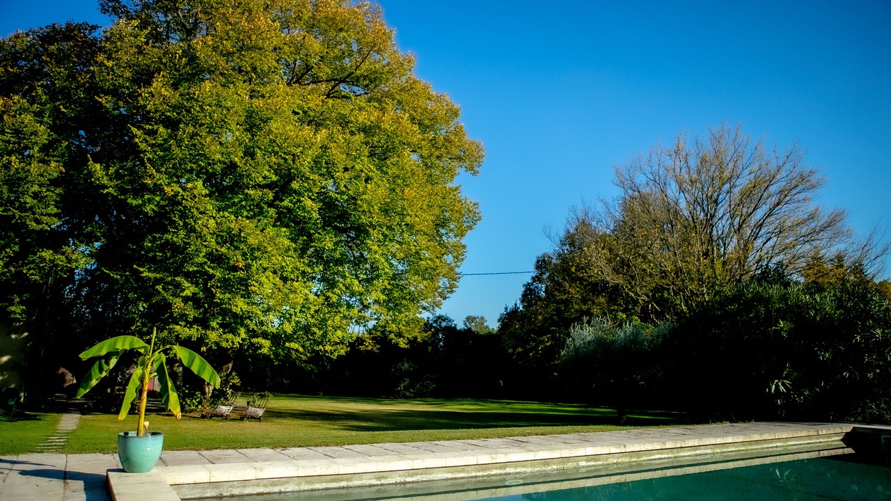 Photo of Outdoor in Orange