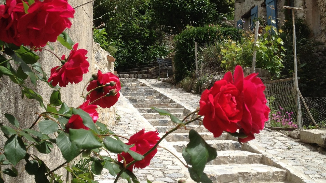 Photo of Outdoor in Saint-Leger-du-Ventoux