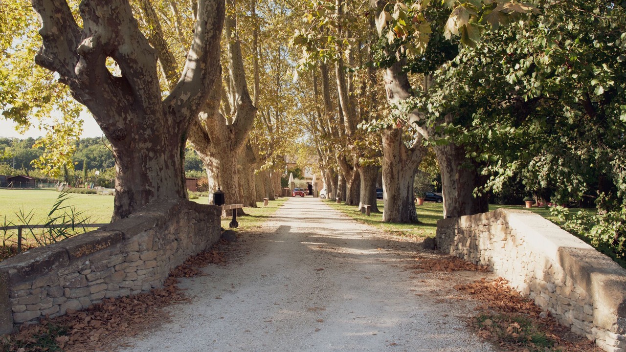 Photo of Outdoor in Grillon