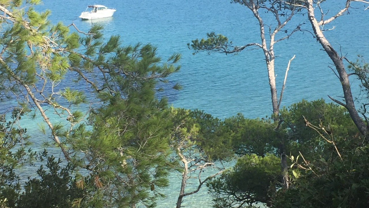 Photo of Outdoor in Miramar