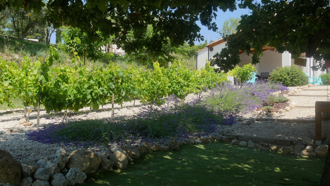 Photo of Outdoor in Pertuis