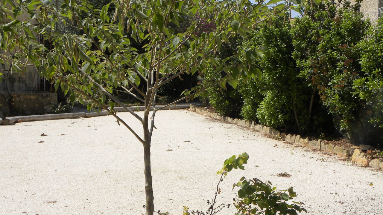 Photo of Outdoor in Bandol